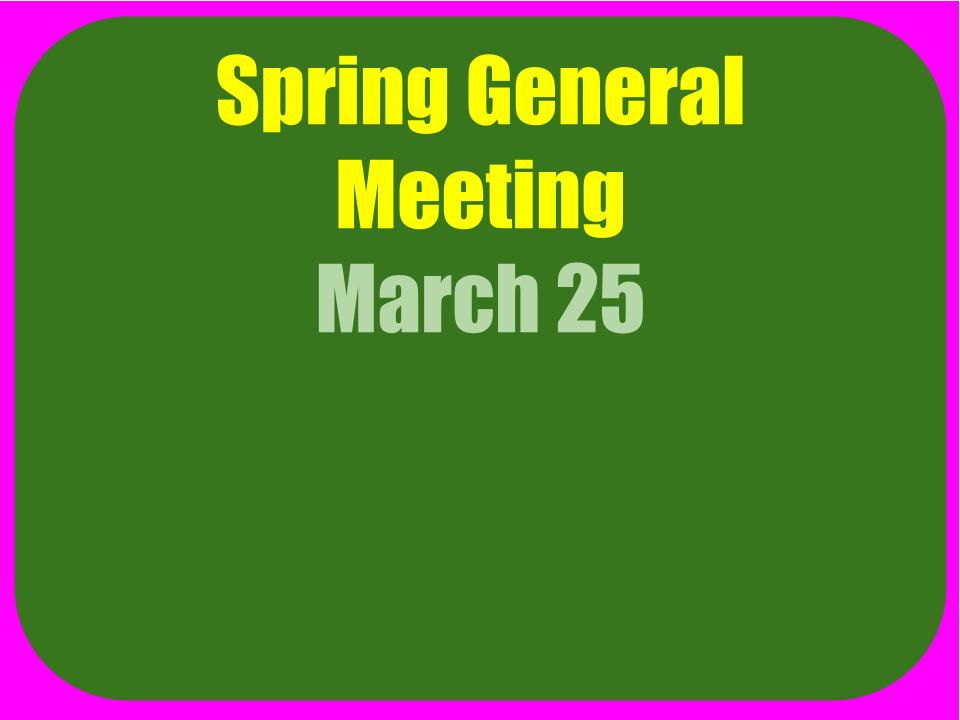 Spring GM