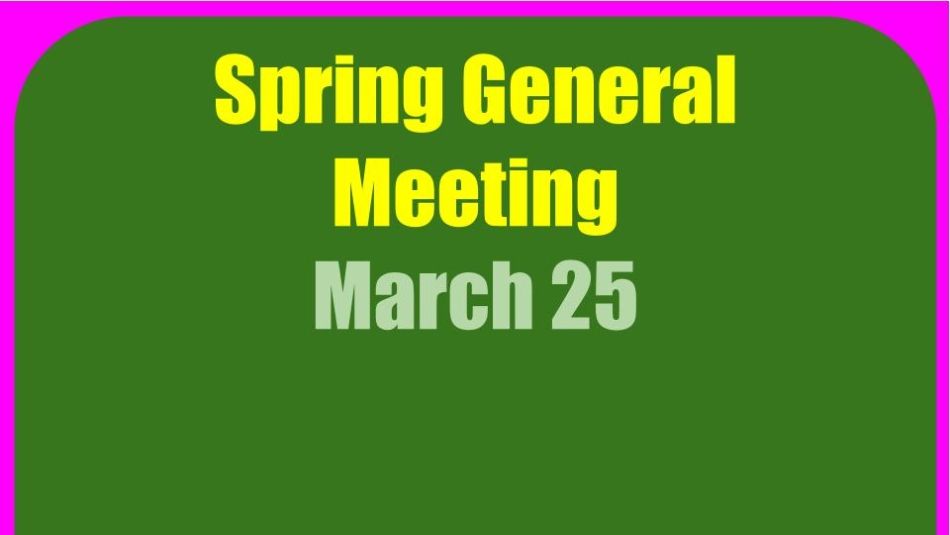 Spring GM